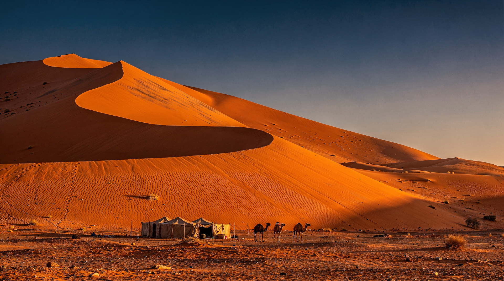Wie man eine Sahara-Tour in Marokko bucht, ohne übers Ohr gehauen zu werden