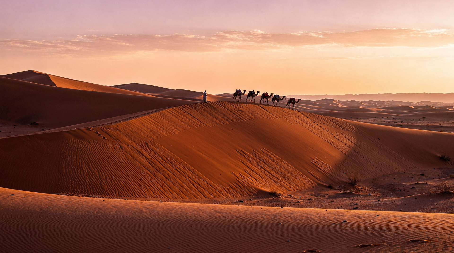 Sandboarden in Merzouga: alles, was Sie vor der Abfahrt am Erg Chebbi wissen müssen